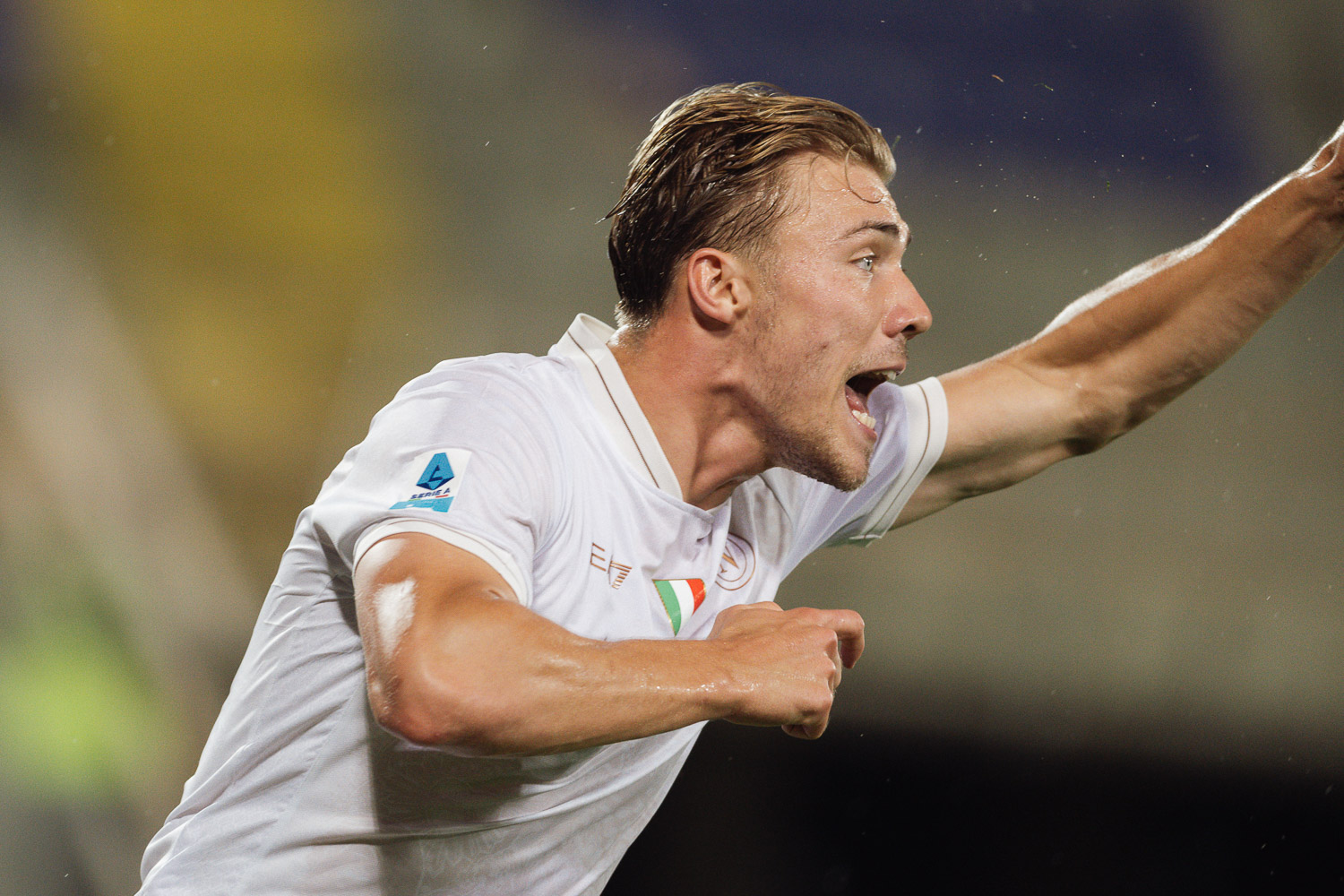 Fiorentina - Napoli 1 - 3-3526