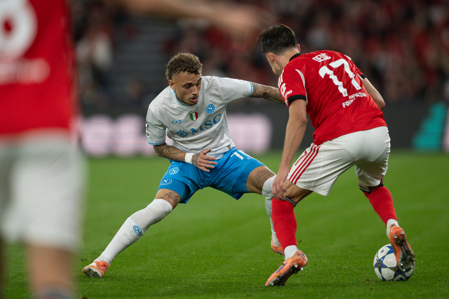 Benfica - Napoli 2 - 0-3731