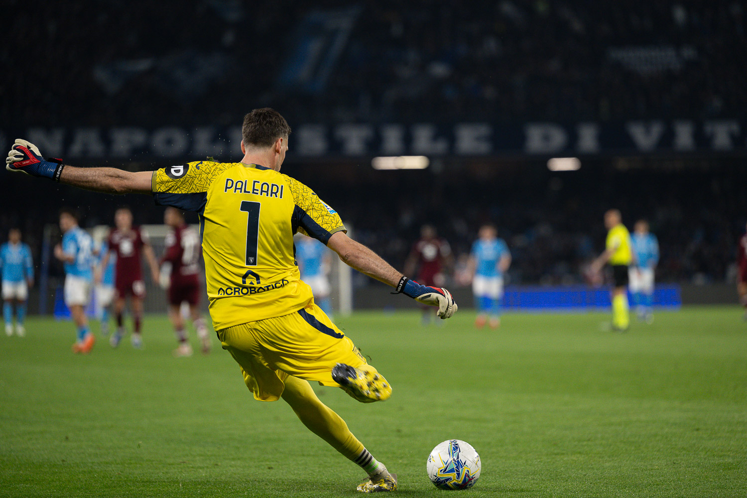 Napoli - Torino 2 - 1-3946